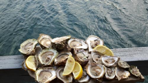 20180817 182202 resized