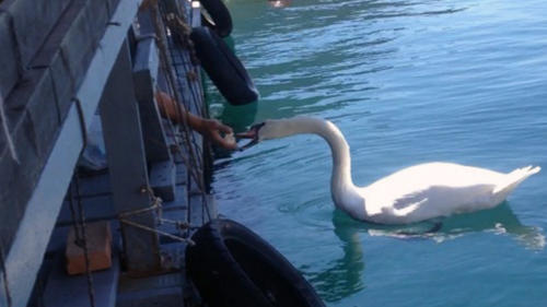 320170806 131314 resized 2