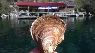 IMAG0560.jpg